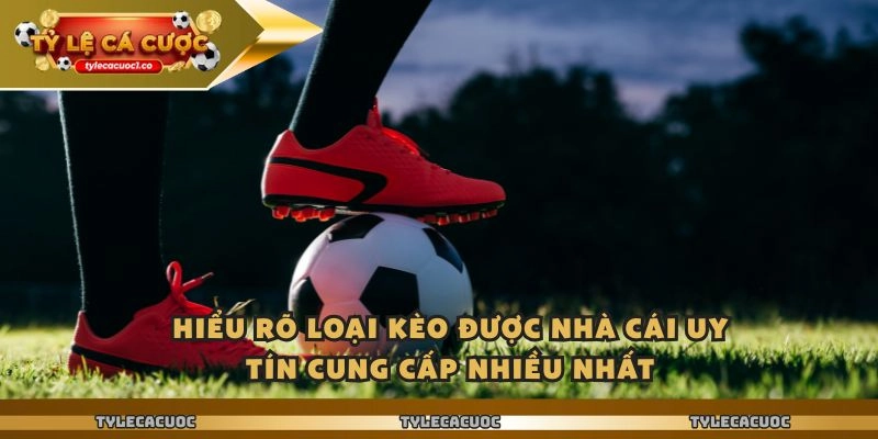 Hiểu rõ loại kèo được nhà cái uy tín cung cấp nhiều nhất