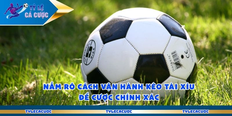 Nắm rõ cách vận hành kèo tài xỉu để cược chính xác