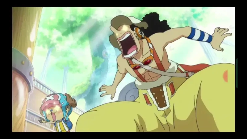 Bạn đã biết tên đầy đủ của usopp chưa