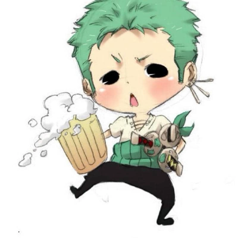 Góc nhìn mới lạ từ zoro chibi cute