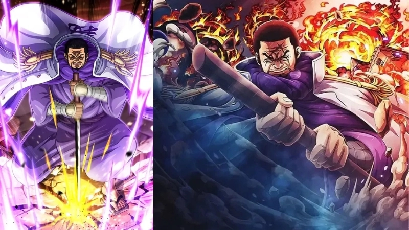 Nhân vật Fujitora là ai khiến fan sốc