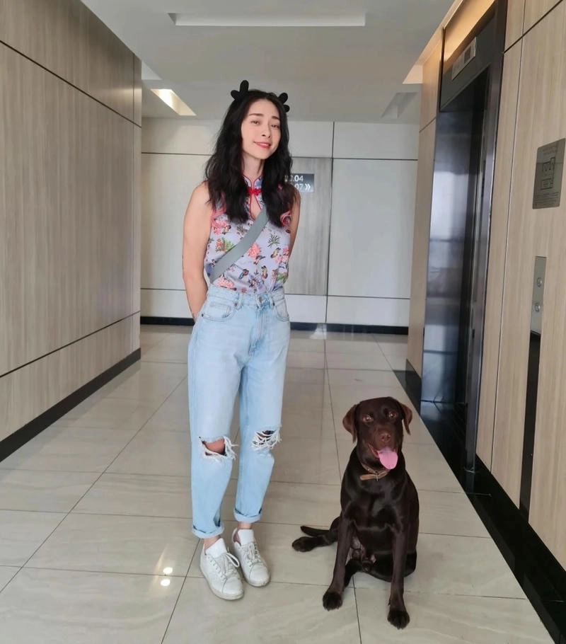 Tin đồn ngô thanh vân bị bắt thực hư ra sao