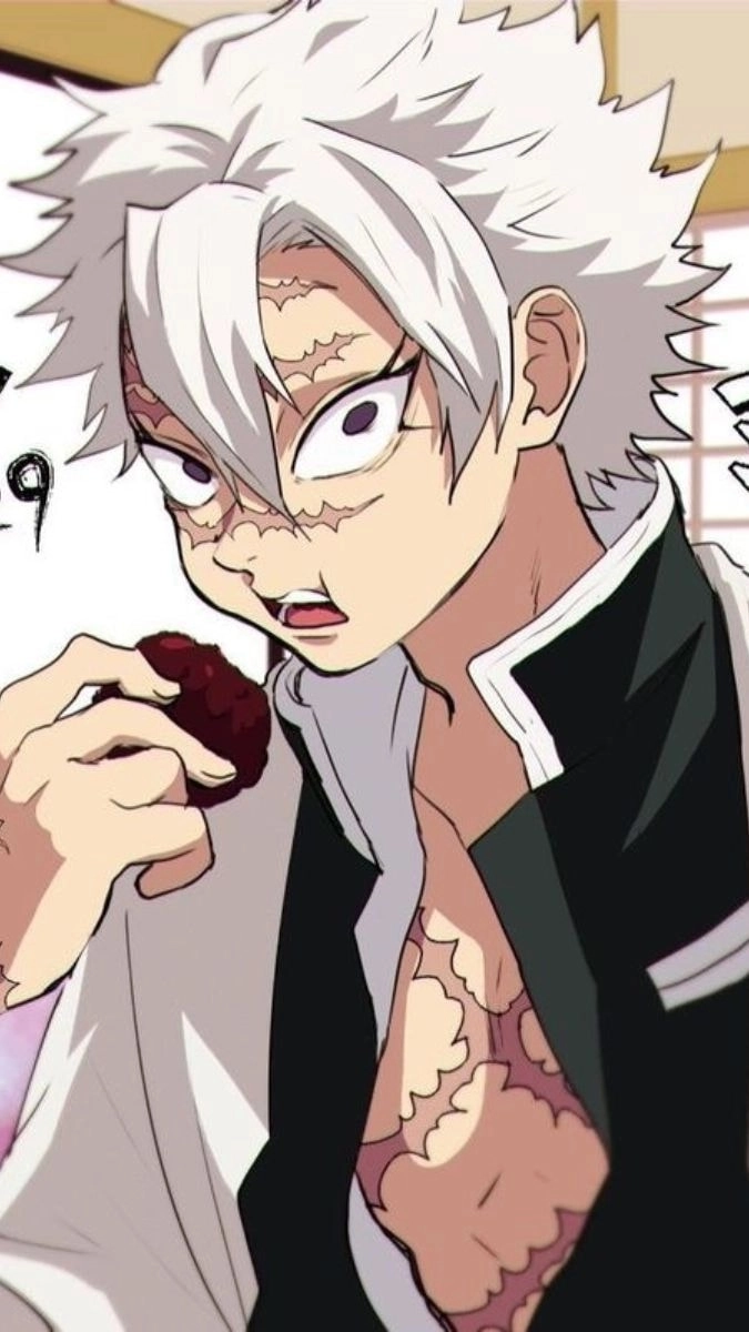 Sanemi ngầu lòi trong từng khung hình