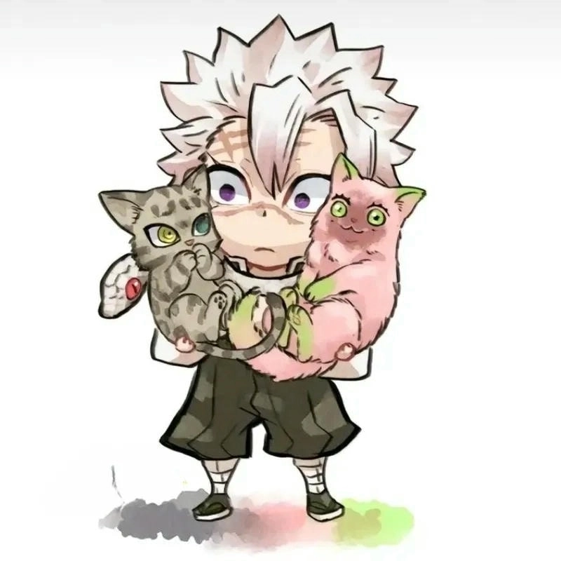 Kết hợp bất ngờ từ sanemi x muichiro