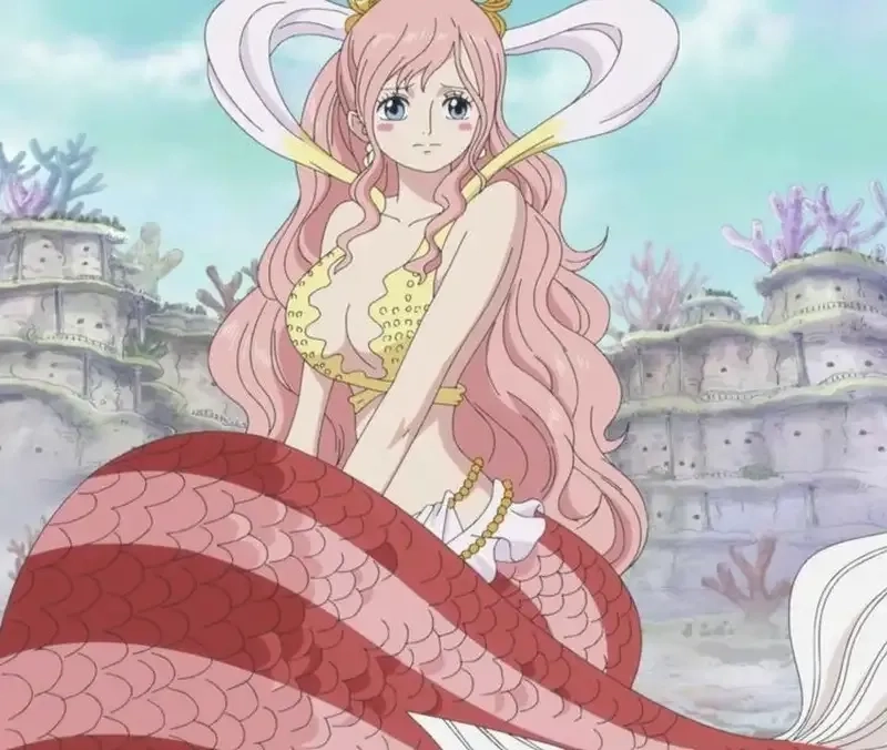 Phản ứng bất ngờ khi sanji sees shirahoshi