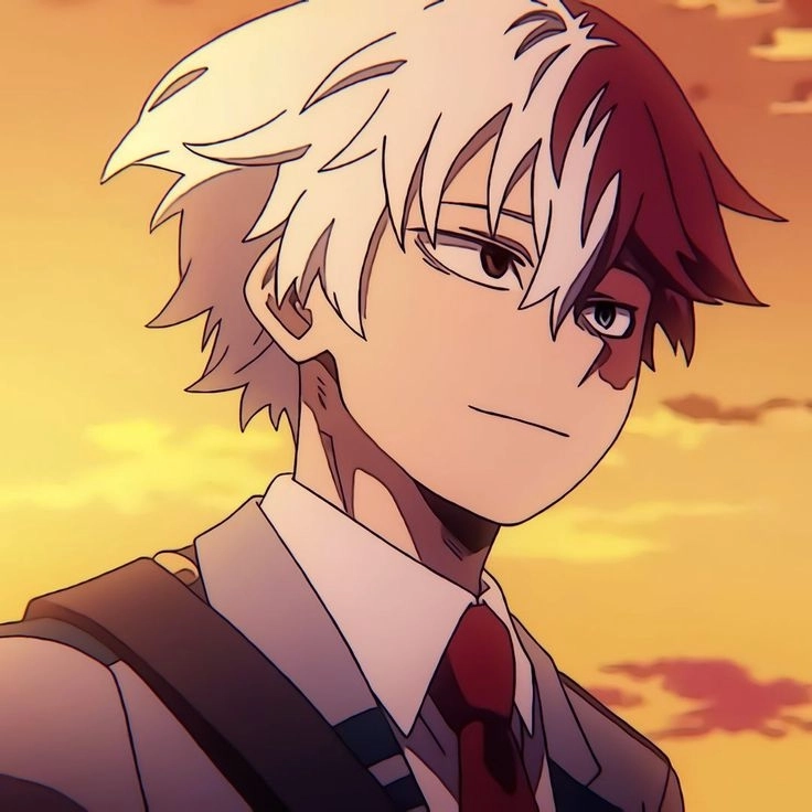 My Hero Academia Shoto cực ngầu nổi bật