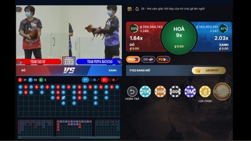 Kinh Nghiệm Khi Tham Gia Đá Gà Trực Tuyến Thomo