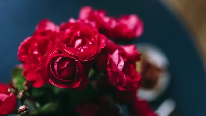 Thể hiện phong cách qua Avatar hoa hồng lạnh lùng