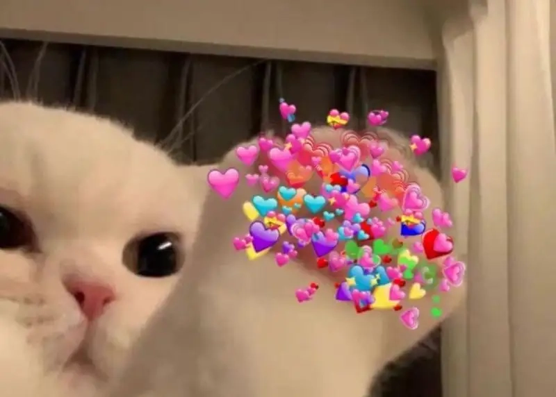 meme bắn tim hài cười vỡ bụng liền bắn tim meme