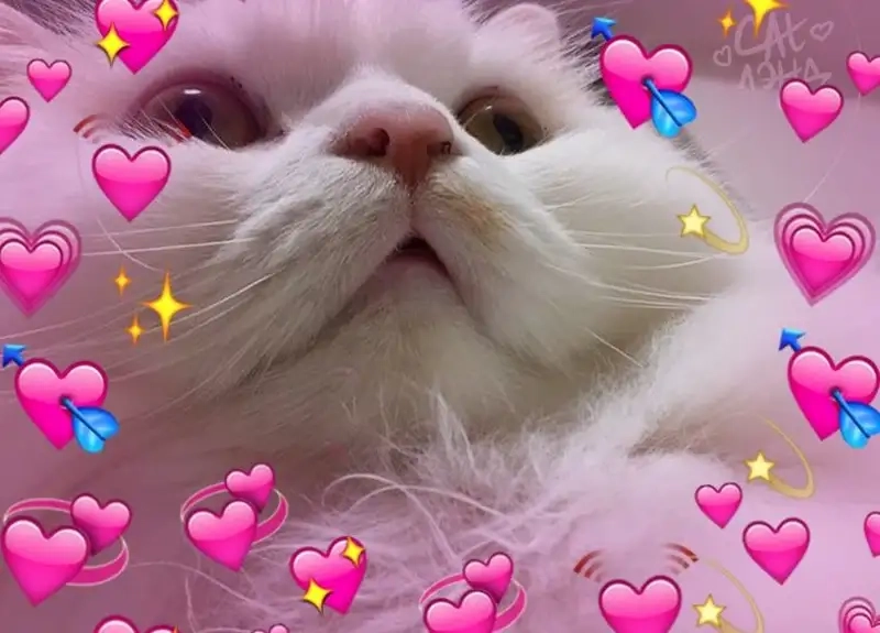 ảnh bắn tim meme kho ảnh hot trend bắn tim meme