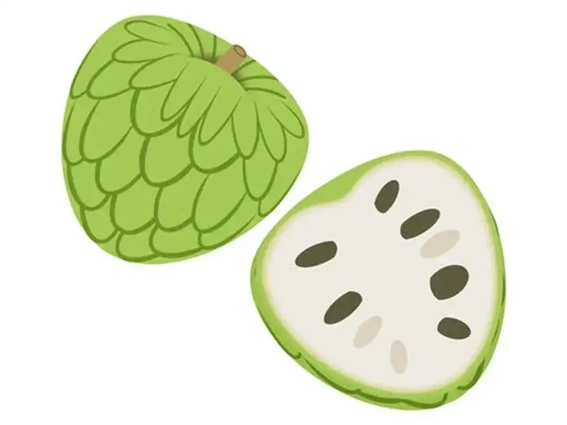 Thưởng thức quả na chibi dễ thương