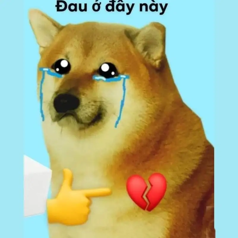 Chia sẻ Meme Đau Ở Đây Này cho bạn bè xem