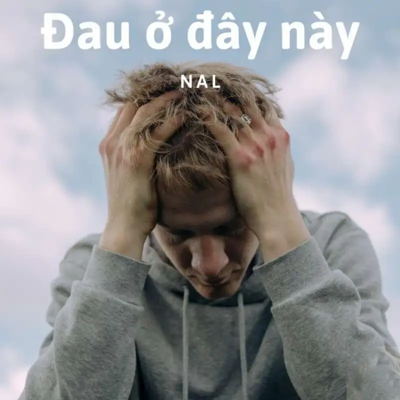 Cười té ghế với Meme Đau Ở Đây Nè siêu hài