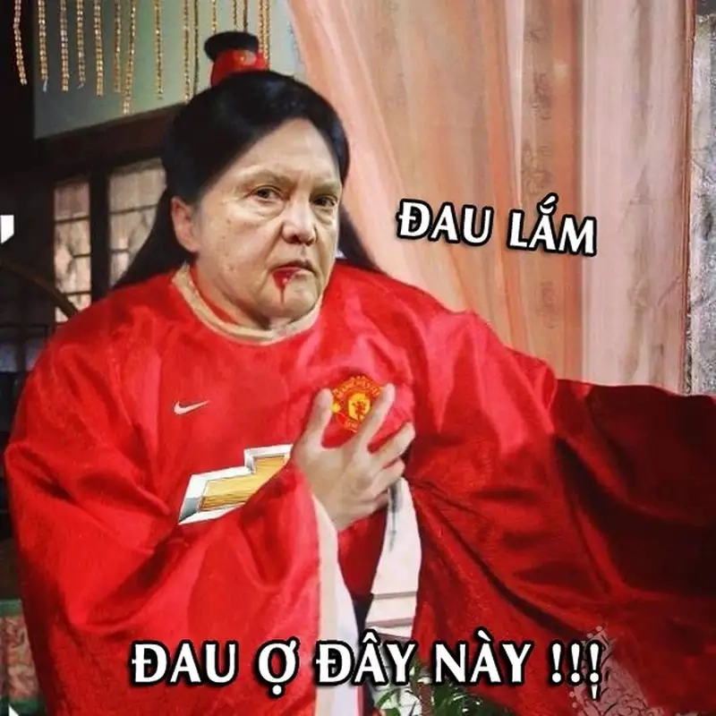 Meme Mèo Đau Ở Đây Này vui nhộn cực chất