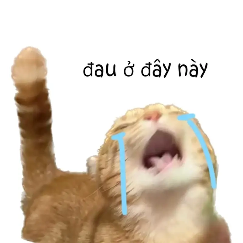 Tải ngay Ảnh Meme Đau Ở Đây Này chất lượng cao