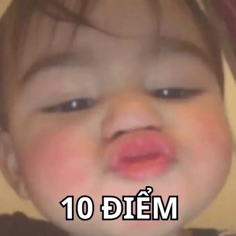 Tải ngay hình meme 10 điểm độc đáo và bắt trend
