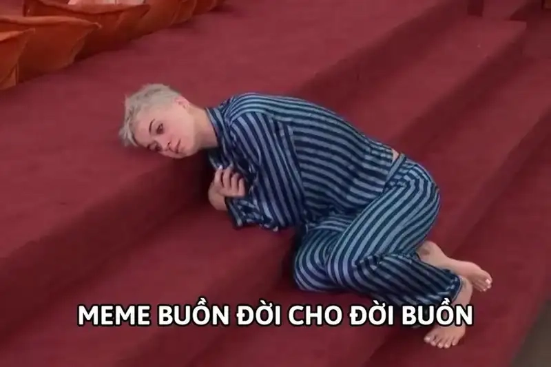 Chạm đến nỗi lòng sâu thẳm bằng meme buồn về cuộc sống