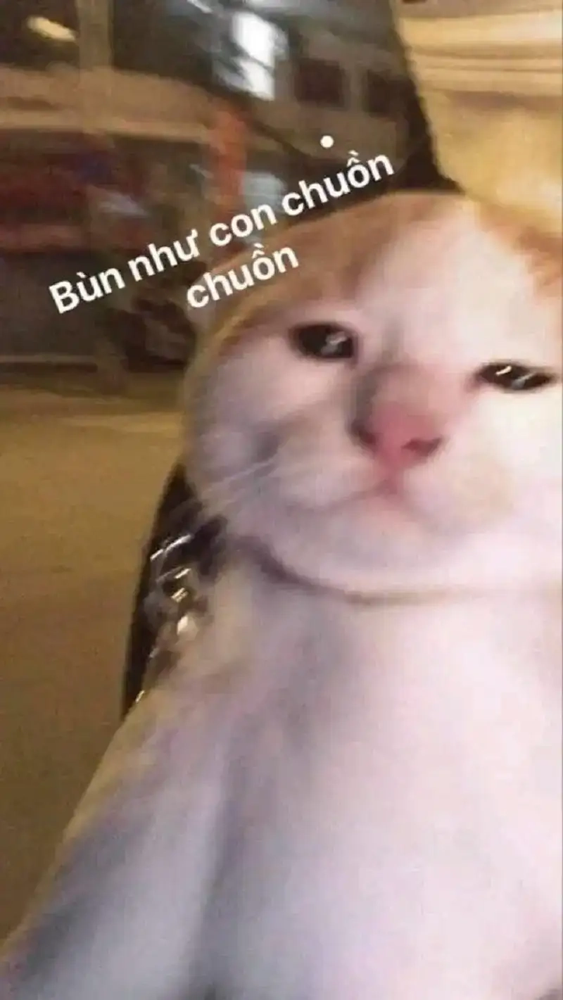 Cảm xúc cô đơn được thể hiện rõ qua meme sad boi