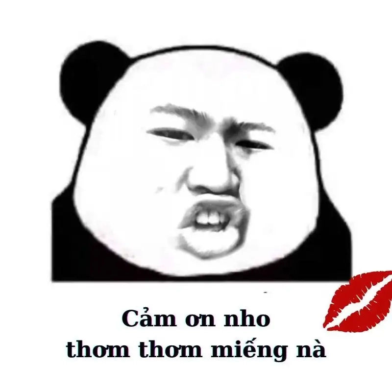 meme cảm ơn dễ thương dành cho mọi tâm trạng