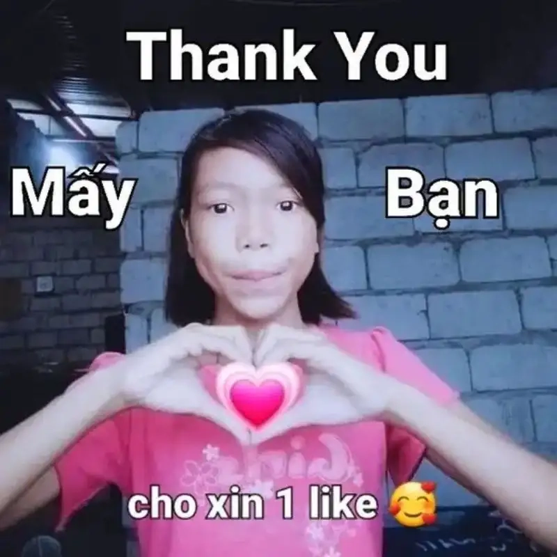 Nhận yêu thương qua meme cảm ơn dễ thương