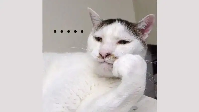 Meme chán sống nhìn mặt đơ mà buồn cười thật