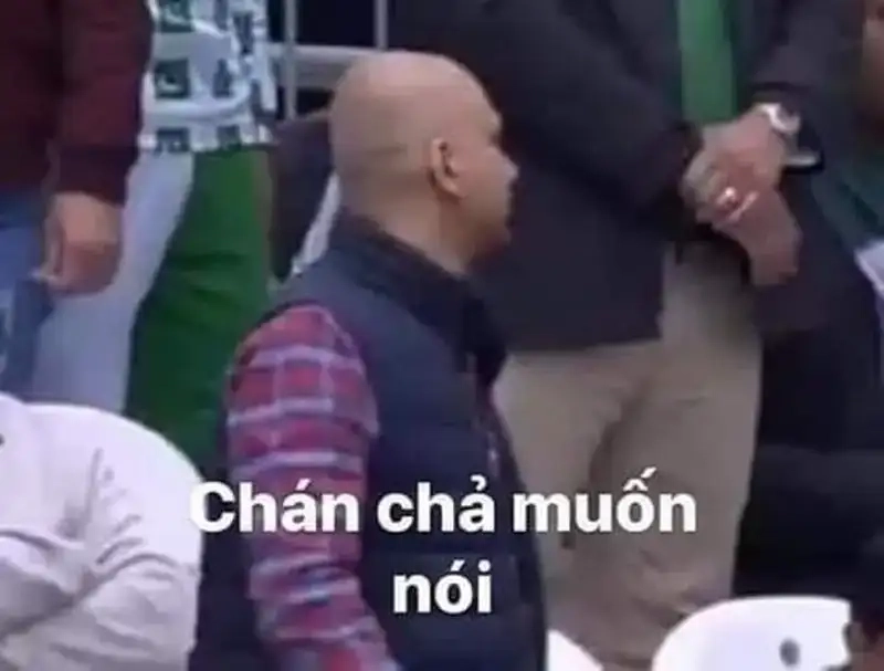 Meme đập trán meme chán thể hiện sự bất lực thú vị