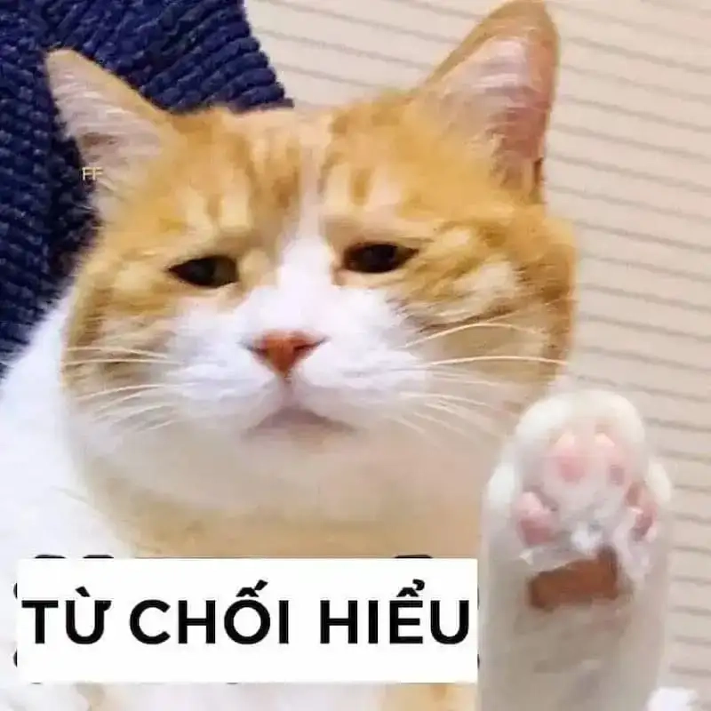 Meme chán không buồn nói biểu cảm đỉnh cao chán đời