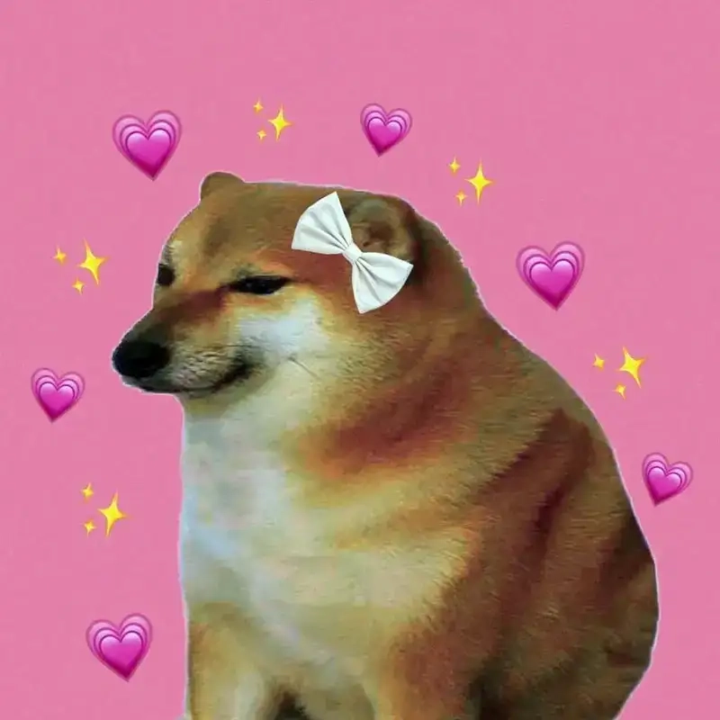 Khi meme con chó ý kiến cũng muốn tham gia tranh luận