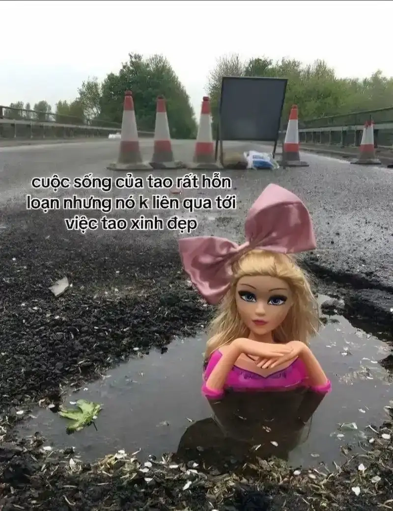 Meme công chúa ảnh hài dễ thương