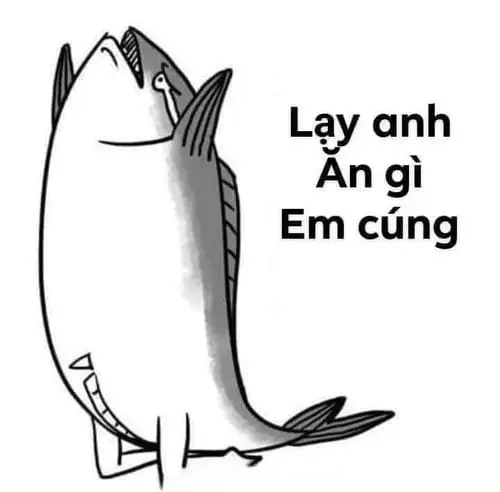Đa tạ hoàng thượng meme nổi bật trong các hình