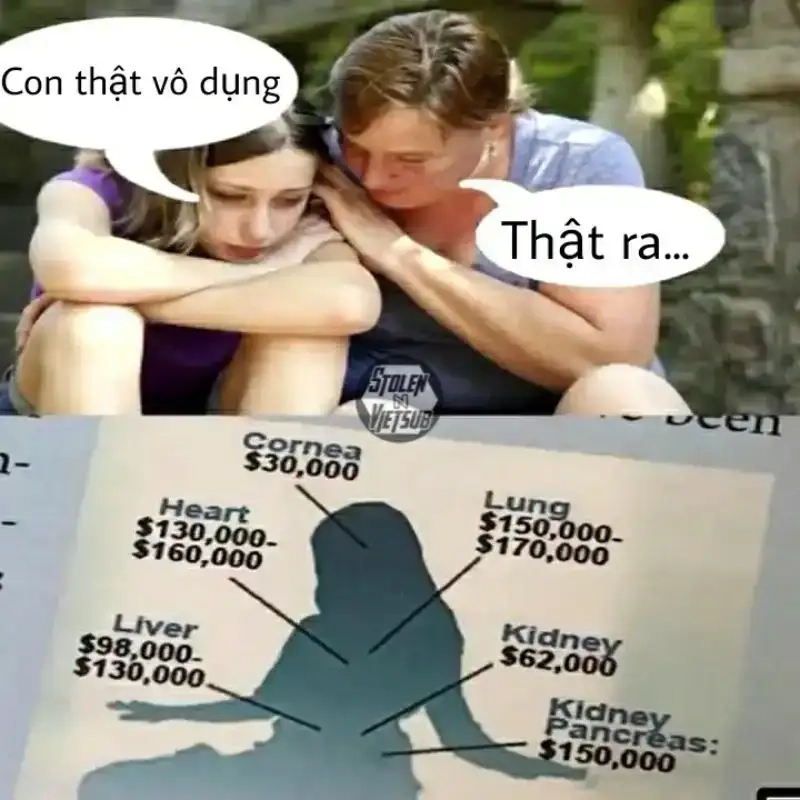 Tuyển chọn dark meme vn khiến cộng đồng mạng dậy sóng