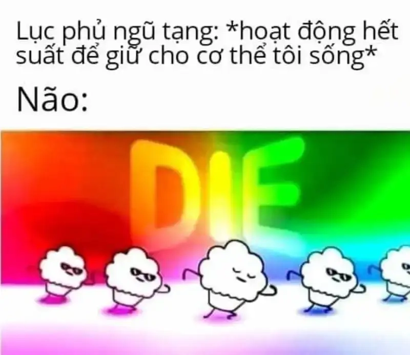 Đắm chìm trong những chiếc meme cực dark gây sốc