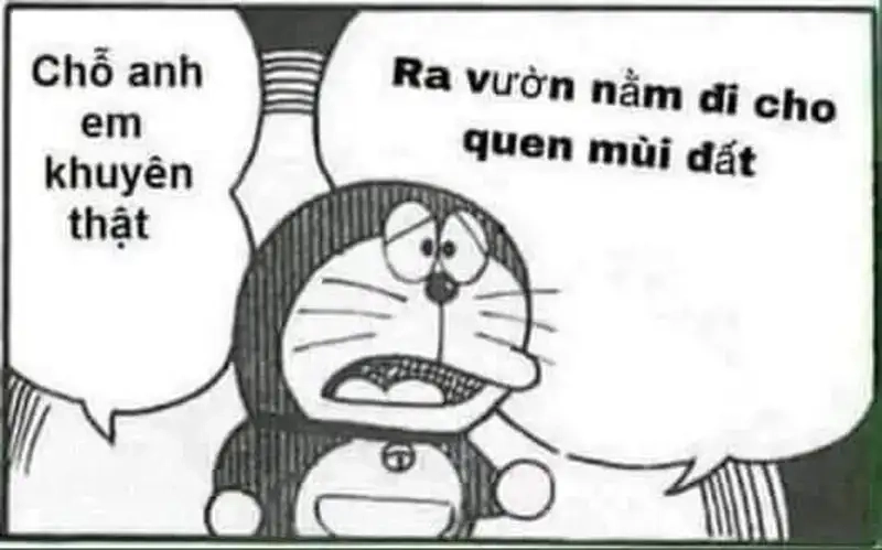Tải ngay ảnh meme doraemon đáng yêu và vui nhộn