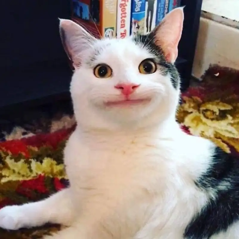 Meme thần vô cùng hoảng hốt hot