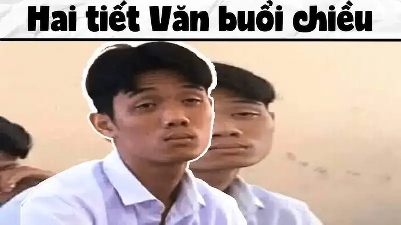 Tổng hợp học meme hot trend giúp bạn vừa học vừa cười