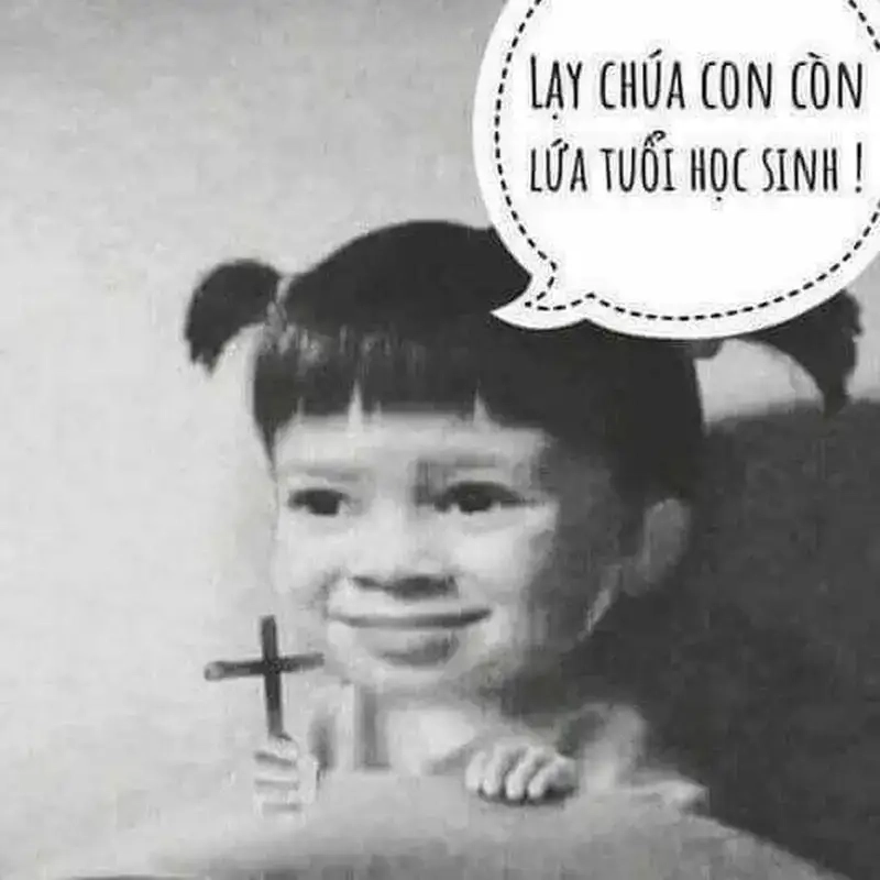 Cười xỉu với meme học đi cực bá đạo của học sinh Việt