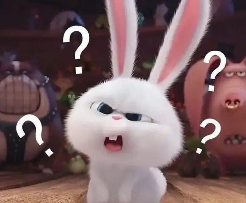 Khám phá meme hỏi chấm cực hài và thú vị