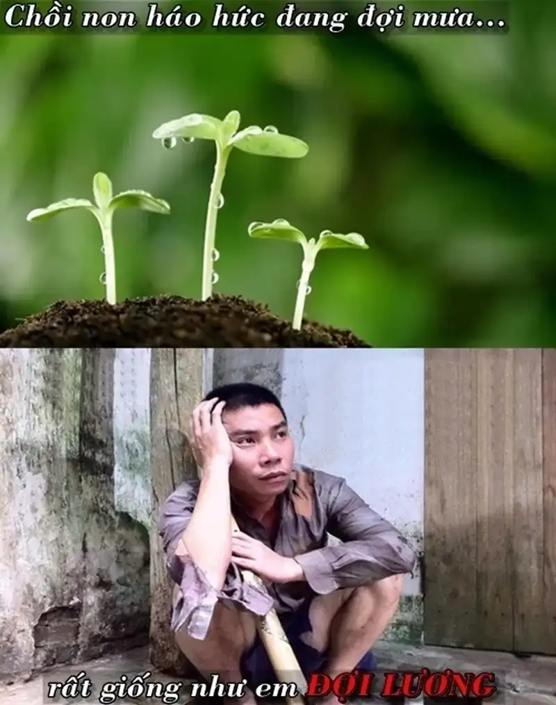 Niềm vui nhỏ bé hiện rõ trong meme tăng lương