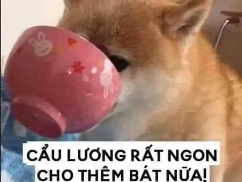Tâm trạng mòn mỏi cuối tháng gói gọn trong meme chờ lương