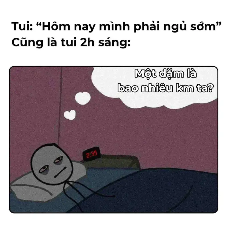Ai lại mất ngủ thì xem ảnh cho vui