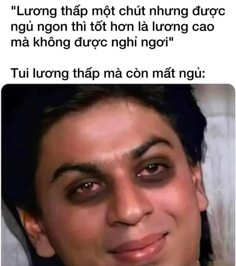 Cười xỉu với meme gấu trúc mất ngủ