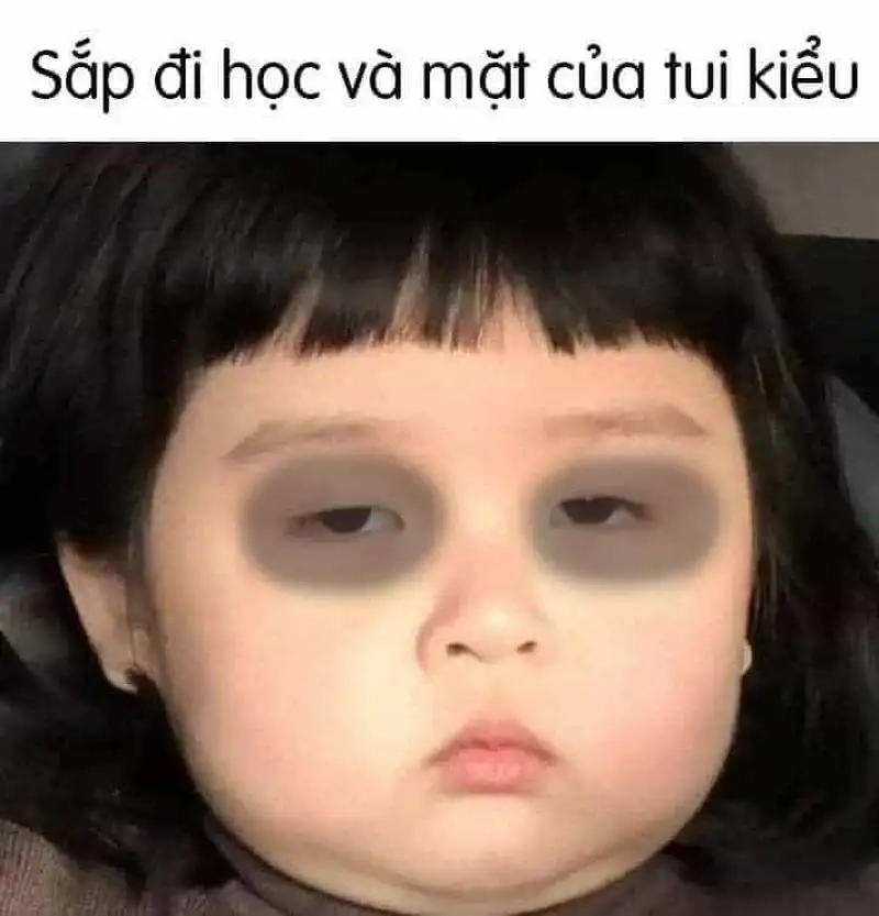 Mood lại mất ngủ nên tìm ảnh chế