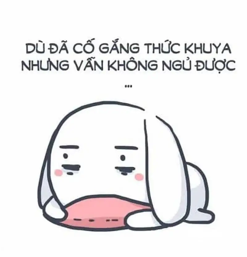 Thấy meme mất ngủ là tỉnh cả đêm