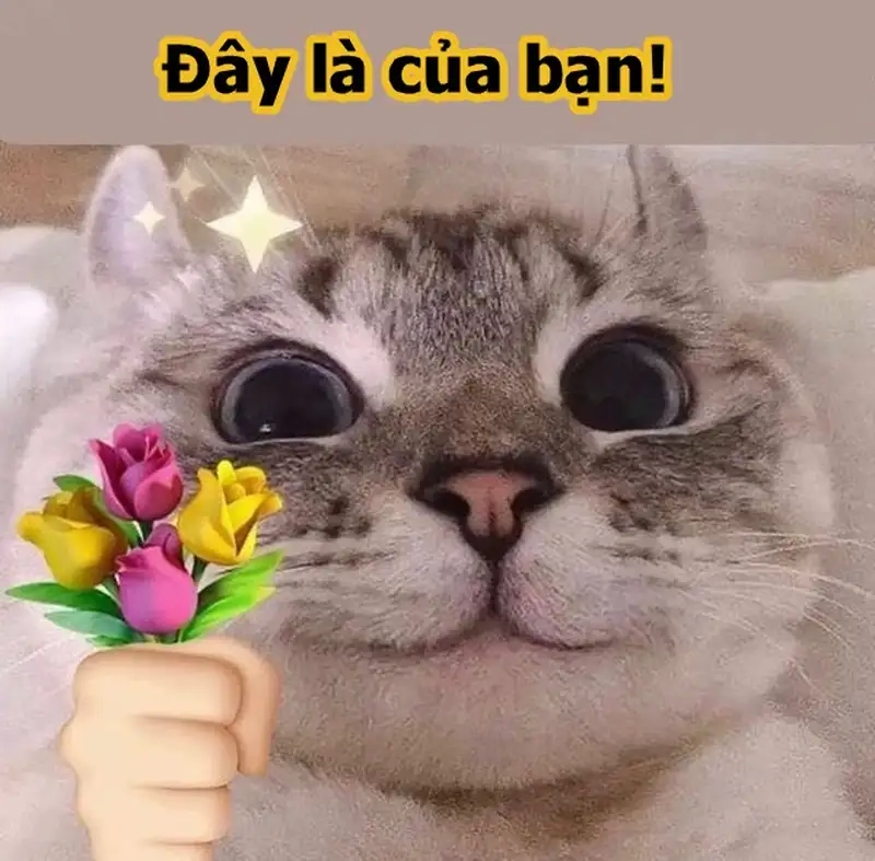 Lan tỏa cảm xúc cùng tặng hoa meme mỗi ngày
