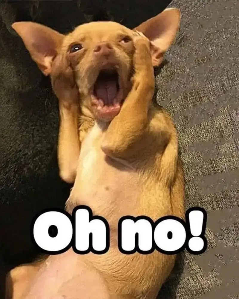 Khám phá loạt meme bất ngờ siêu hài khiến ai xem cũng phải “wow”