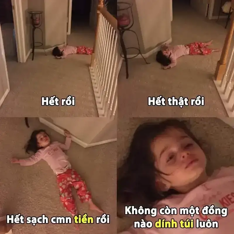 Xem ngay hình vui từ sổ hộ nghèo meme