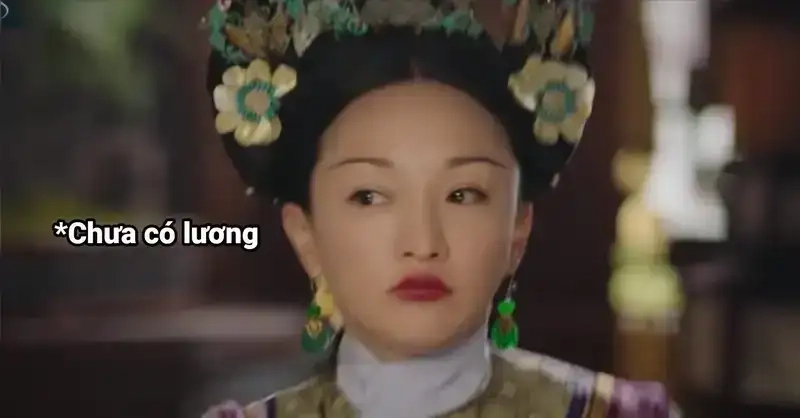 Khám phá bộ ảnh dí dỏm meme nàn