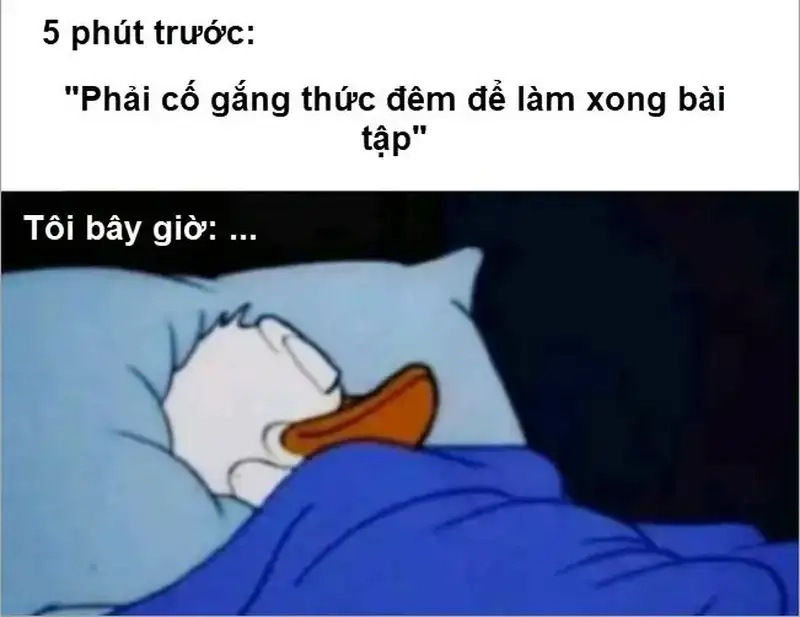 Meme ngủ quá giờ trưa bắt trúng nỗi đau dân công sở