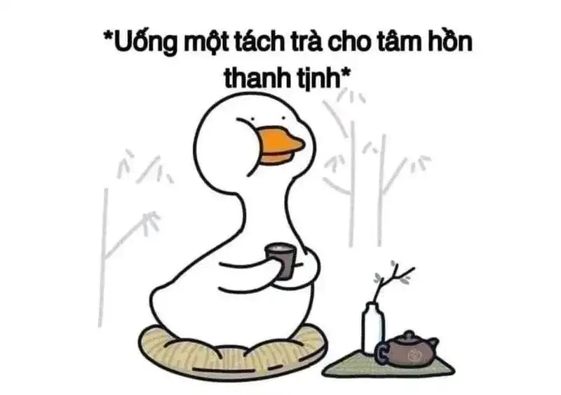 Giải tỏa áp lực bằng tâm tịnh meme
