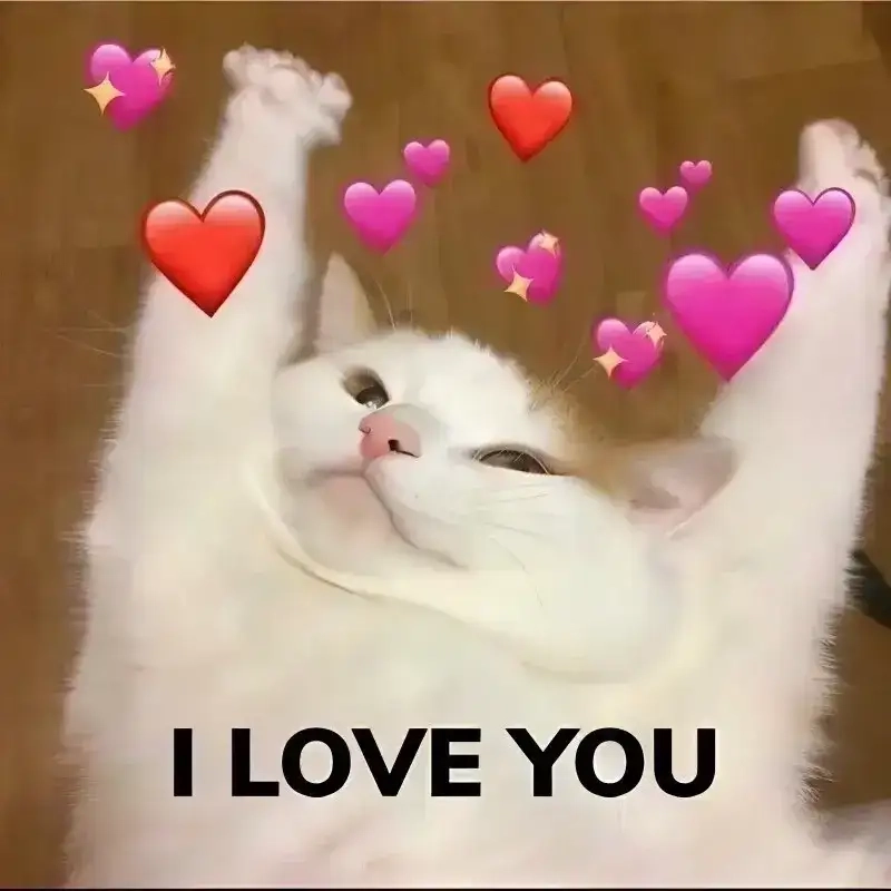 Ngọt ngào hết nấc với meme tình yêu cho người si tình